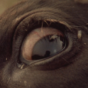 whitetrashinwyou avatar