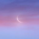 whiteupquirkboy avatar