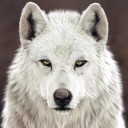 whitewolf1756 avatar