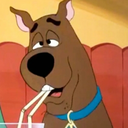 whitleygilbert avatar