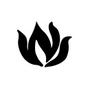 whitneysalgado avatar