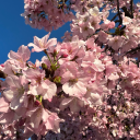 who-are-you-to-me avatar