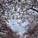 who-are-youuuuuu avatar