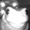 who-read-this-is-gay avatar