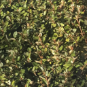 whoandwhereandwhy avatar