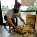 whoisdankeyvang avatar