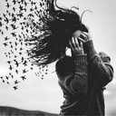 whoisitany-blog avatar