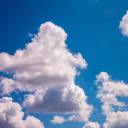 wholeandtruebi avatar