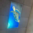 wholesome-mpreg-collection avatar