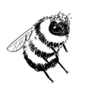 wholesomebee avatar