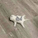 wholewheatbreadeson avatar