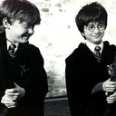 whomping-willlow avatar