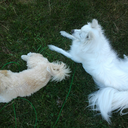 whore-irrific avatar