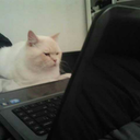 whoresrarelysink avatar