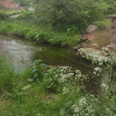 whorevanguard avatar