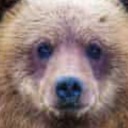 whump-a-whump-whumpshop avatar