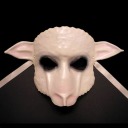 whump-of-lambs-and-wolves avatar