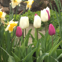 whumpwritings avatar