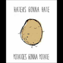 why-am-i-a-damnpotato avatar