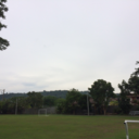 why-did-you-ever avatar