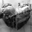 why-even-bother23 avatar