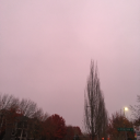 why-not-enjoy-it avatar