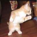 why-not-write-random-stuff avatar