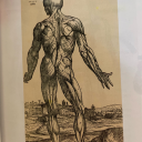 whyamiheresomeonehelp avatar