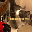 whybeagroupiewhenucanbearockstar avatar