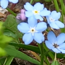 whydoestheworldgoround avatar