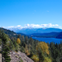 whyisthishappening avatar