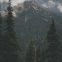 whymustyoutakegoodusernames avatar