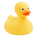 whynotducks avatar