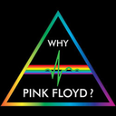 whypinkfloyd avatar