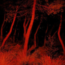 whyspering-woods avatar