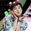 whysuho-blog avatar