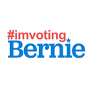 whywerevotingbernie avatar