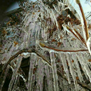 whywhynotwhatever avatar