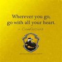 wibblywobblyhufflepuff avatar