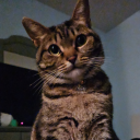 wicca-wicca-whack avatar