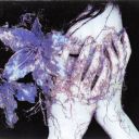 wickdcreatures avatar