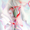 wicked--wicked avatar