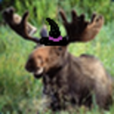 wickedlydefyinggravity-blog avatar