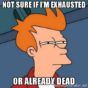 wickedywakedy avatar