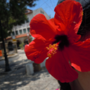 wide-open-oceans avatar