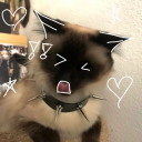 widnsjebxj avatar