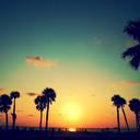 wiingged-beeliever avatar