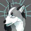 wiinterfox avatar