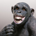 wild-animal-monkey-madness avatar