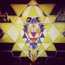 wild-club-com avatar